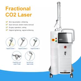 Machine laser professionnelle fractionnée Co2 Serrer les soins de la peau du vagin Système de rajeunissement de la peau Équipement de beauté pour l'élimination des cicatrices de vergetures indolores