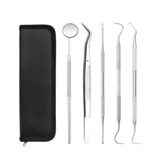 Ensembles d'outils à main professionnels 4 5 PCS Outils pour kit de grattoir à dents Dentifrices en acier inoxydable Dentiste Chercher Miroir Instruments195l