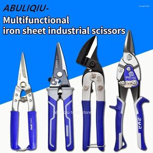 Professionele handgereedschapsets Ijzeren plaatschaar Tin Metal Snip Luchtvaartschaar Multifunctioneel snijden Recht gebogen industrieel gereedschap