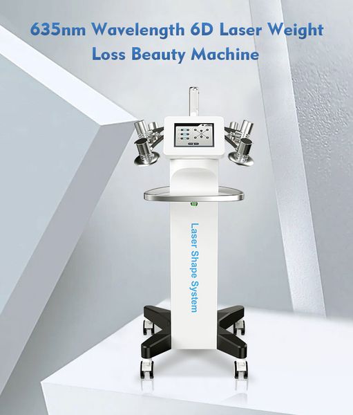 Lipo Laser professionnel 6d pour le contour du corps, équipement de beauté amincissant, perte de poids, massage Ems, Machine de modelage du corps