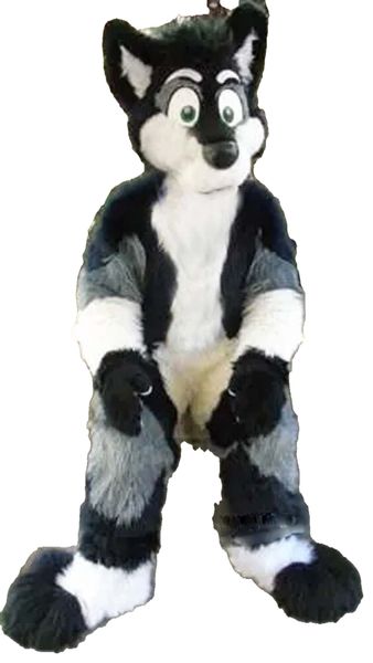 Professionnel long fourrure husky chien renard mascotte Costume Fursuit Halloween Furry Suit Cartoon Tenues de fête Robe