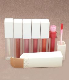 Professionele make -upboter Glanzen Matte fluweelachtige lipgloss naakt vloeibare lippenstift Moisturizer Gladde waterdichte lipgloss met heldere LI3334794