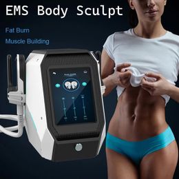 ELECTROSTIMULACIÓN MUSCULAR PROFESIONAL EMS Cuerpo portátil Peligriación Fatrillando el edificio de músculos ardientes 4 maneja 3000 W Hi-EMT Instrument