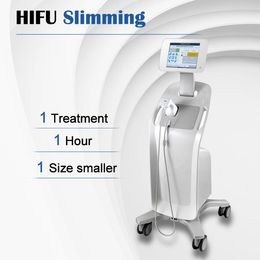 Professionele Pijnloze HIFU Echografie Vet Oplossende Lichaam Hervormen Contouren Curve Vormgeven 1.3mm 0.8cm Cartridges Huid Schoonheid Instrument