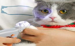 Clipper à ongles de compagnie professionnel ciseaux Pet Dog Cat Cat Toe Toe griffe griffes Scissor LED Light Nail Trimm for Animal Pet Supplies9829904
