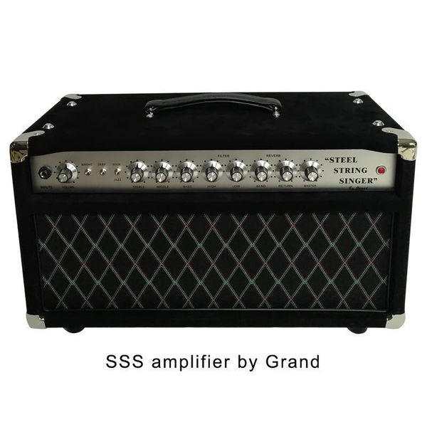 Tête d'ampli de guitare à lampes professionnelle 100W, tonalité d'ampli, Valve de chanteur à cordes en acier SSS, amplificateur filaire à la main, plaque frontale personnalisée