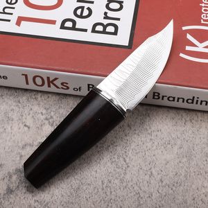 Promotion A2253 Couteau à lame fixe Damas VG10 Damascus Steel Drop Point Blade Manche en ébène Pêche en plein air Camping EDC Couteaux de poche avec gaine en cuir