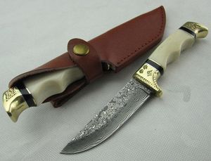 Promotie Damascus Rechte mes, 58HRC Kameel Bone + Double Copper Head met Caiving Pattern Handgreep, Ourdoor Survival Mes Messen