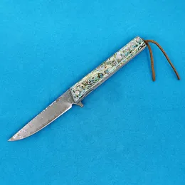 Promoción R2317 Cuchillo plegable de bolsillo 76 capas VG10 Hoja de acero de Damasco Mango de concha de abulón azul Rodamiento de bolas Aleta Cuchillos de apertura rápida con bolsa de nailon