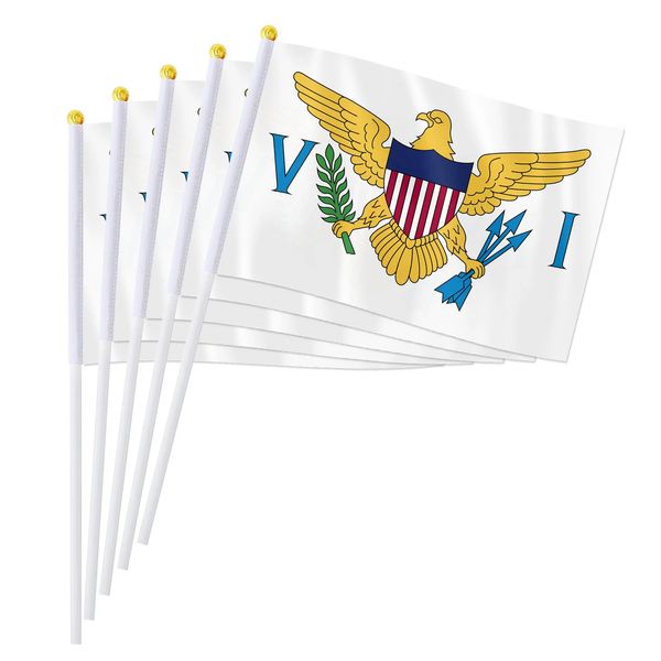 Pterosaur 14 * 21cm Drapeau des îles Vierges décorée d'un drapeau de petite vague tenue par les îles Vierges au monde 240425