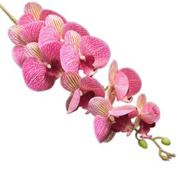 PU Single STEM Orchid 9 Hoofdspiece Artificial Flowers Phalaenopsis Real Touch Butterfly Orchids voor bruiloft centerpieces8233714