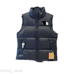 Puffer donsjack Puffervest Northface Klassieke stijl modeontwerper Parka Winter Northface donsjack Jassen Northface donsvest 507