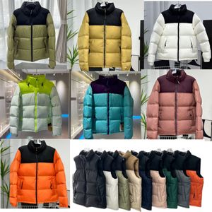 Doudoune North The Face Jacket Down Coat Veste d'hiver Casual North Coat Designer Jacket Veste homme Veste femme Veste chaude coupe-vent manteau alphabet brodé