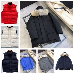 pufferjack dames herenvest designerjas donsjack Stijlvolle warme jas Winter verdikte warme kleding Casual buiten Luxe merk winddicht jack met capuchon