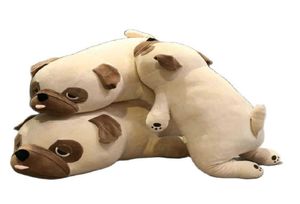 Pug chien peluche jouet en peluche animal shar pei peluches poupée poupée soft chien en peluche jet oreiller pour enfants toys cadeau d'anniversaire pour petite amie Q074434169