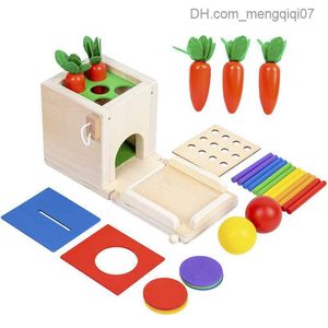 Trek speelgoed houten Montessori speelgoed 4-in-1 smartbox vorm set pilaar pull stralingsmunt type game stick stick voor kinderen van kinderen puzzel z230814