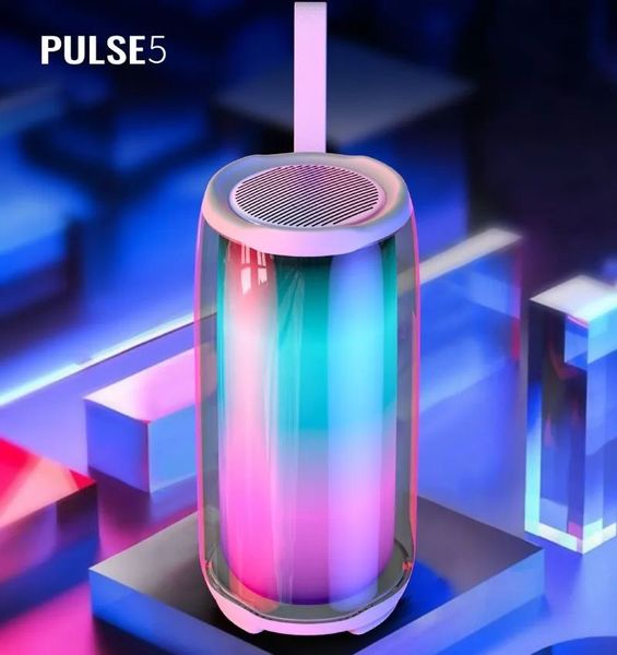 Pulse 5 Haut-parleur Bluetooth sans fil de haute qualité caisson de basses étanche RVB basse musique portable audio famille système de karaoké noir blanc