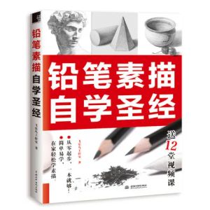 Punch New Bible Book for Learning Crayer Sketch Painting by auto-study chinois Drawing Textbook Student Tutorial Art Livre