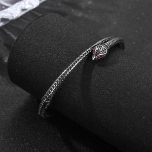 Punk en acier inoxydable Viking serpent bracelet pour hommes femmes gothique rock animal bracelet bracelet bijoux de mode cadeau de fête en gros 240110