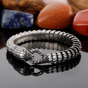 Punk Vintage Animal Snake Head Charm Link Chain Bracelet Men Women Goud Zilver Zwart Roestvrijstalen Matte Viper Snake Blessing Biker Pulsera Bangle Jewellry