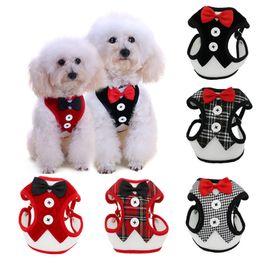 Conjunto de arnés y correa para cachorros y gatos, arnés transpirable para mascotas, chaleco para perros pequeños, conejos, vestido de malla, cinturón de pecho con lazo, Collar para Chihuahua