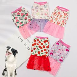 Puppy Sweet Skirt Lace Diseño Lindo princesa Dog Cat Caricetanes Mesh Impresión Poodle Yorkie Chihuahua Pet Apparel 240411