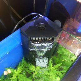 Purifiers 1 stuk nieuw intern filter voor schildpadtank laag waterniveau stomme filter voor aquariumvervangingsfilter spons