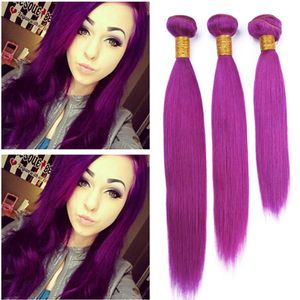Cheveux humains vierges brésiliens de couleur pourpre tisse 3Pcs 300Gram Extensions de tissage droit soyeux Pure Purple Virgin Hair Bundles Deals