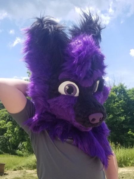Costume de chien Husky violet, tête d'animal en peluche, mascotte de loup, Costumes d'animaux à fourrure, tissu en peluche doublé