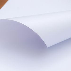 Film d'emballage de bobine de pvc de boursouflure de feuille de plastique de feuille blanche mate de PVC
