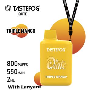 Nouvelle arrivée vaporisateur Tastefog Qute 800 bouffées jetables Vape Box Cigarette Plus 550mAh barres de batterie pré-remplies Vapes de vapeur Tastefog usine en gros