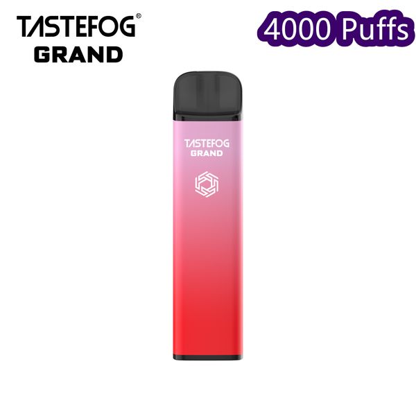 QK Tastefog Grand stylo vape jetable Ecig Desechables 4000 bouffées vente chaude en Europe