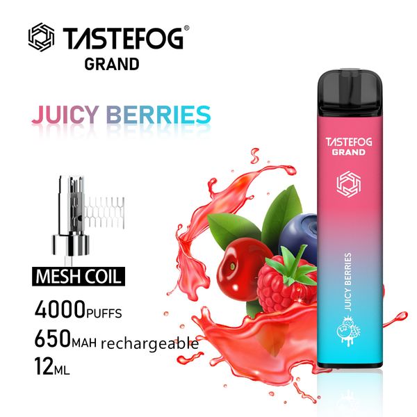 QK Venta al por mayor E Cigarrillo 4000 Puffs Vape desechables Plumas recargables Tastefog Grand Mesh Coil Fabricación original Venta directa 2% 10 sabores para Reino Unido Europa