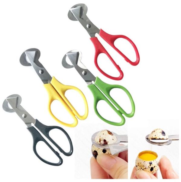 Outils de coupe-œufs de caille Ciseaux à œufs de caille en acier inoxydable pour la maison Coupe-œufs en métal Vert Jaune Noir Rouge SN6689