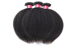 Qualité 10A Non Transformés Cheveux Mongols Afro Crépus Extensions de Tissage Droit 3Pcs Lot Italien Grossier Yaki Cheveux Humains Weft8233707