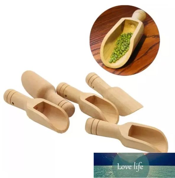 Calidad Mini cucharadas de madera Sal de baño Detergente en polvo Cuchara Caramelo Lavandería Té Cucharas de café Ecológicas Mini cucharadas de madera más recientes