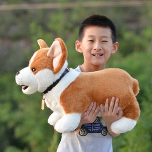 Kwaliteitssimulatie Dier Corgi Dog Plush Toys Big Welsh Puppy PULTED DIEREN DOL VOOR KINDEREN Verjaardagscadeau 49 cm DY10086