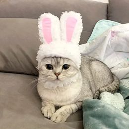 Gat gato de conejo Gat gato Featy Bunny Ears Dog Cosplay Disfraz de caracol Tabón de cachorro Gatito Cabezo de peluche para cumpleaños Navidad