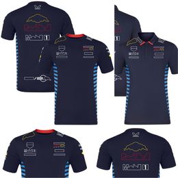 Racesets 2024 F1 Team Racing T-shirt Formule 1 Driver Mens Polo Shirts T-shirts Motorsport Nieuwe seizoenskleding Fans Tops Jersey Plus Size