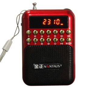 Radio B872 Old Man Multifonctionnel Portable Mini TF Carte USB Small Enceinte Machine d'écoute Machine FM Radio MP3
