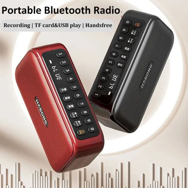 Radio Portable FM Radio Radio Radios Rechargeable Radios Recordance Wireless Bluetooth 5.3 Présentation du haut-parleur Walkman Basse Hourds Hands Free MP3 lecteur