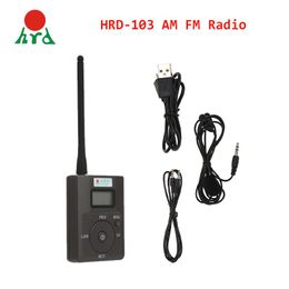 Radio Portable Hanrongda Hdr831, transmetteur Fm numérique stéréo, Mini Station de Radio Fm, diffusion avec micro, fente pour carte Tf, lancement Audio à 500m