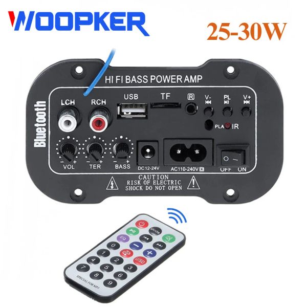 Radio Woopker Tablero de amplificador digital 2530W Audio Bluetooth Amplificador Diy USB FM Radio TF Player Subwoofer 110V 220V