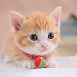 Rainbow Cat Toy Ball Eva Foam Interactive Pet Ball juguetes para masticar dientes moliendo juguetes de gatito divertido para gatos