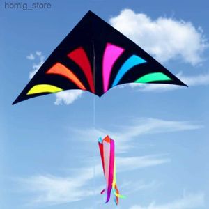 Livraison gratuite Rainbow Delta Kites for Adults Reel Windsocks Kite Flying Children Kite String Weifang Kite Factory Single Line Y240416