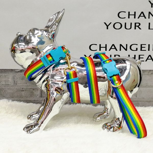 Ensemble de colliers et laisses pour chien arc-en-ciel avec taille réglable en longueur, laisse en nylon coloré pour chien, collier de créateur multifonctionnel 2 en 1 pour petits et grands chiens B49