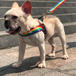 Regenboogstijl honden harnassen aangelegen set modieuze nobele binnenshuis buiten duurzame huisdier honden katten harnassen schnauzer Perzische kat teddy