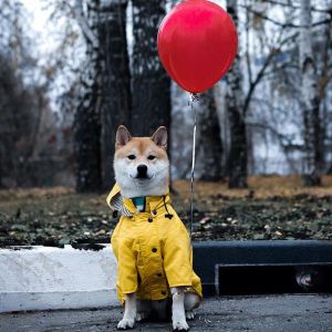 Regenjassen Huisdier Gele regenjas met zakken PU Bulldog Corgi-kleding voor kleine middelgrote honden Waterdichte puppyjas Hondenjas Hondenaccessoires