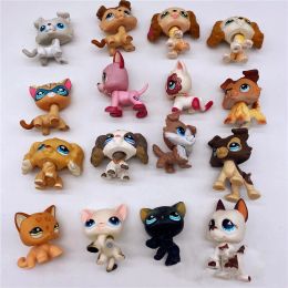 Random One Piece Littlest 4-5cm Pet Shop Big Animal Animal Cat Cat et styles de chien Modèles Figure Toys Girls Collectez Gift Gift