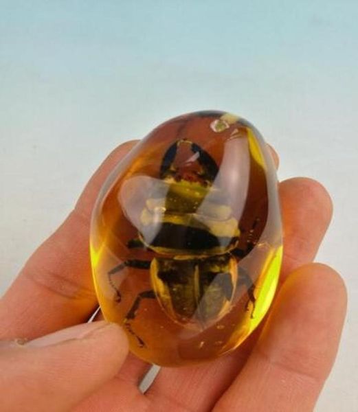 Rare Beetle Amber Beetle Pendant0123456789101725810